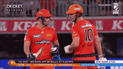 cricketcomau cricket 50 liam livingstone perth scorchers GIF