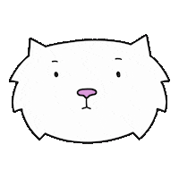 infactcat cat wow amazing surprised Sticker