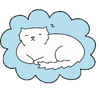 infactcat cat sleepy kitten bored Sticker