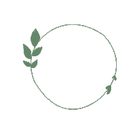 astudio flower green circle leafs Sticker
