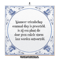 Storm Nl Sticker by Tegelspreuken.nl