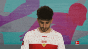 Vfb Stuttgart Football GIF by Bundesliga