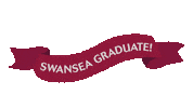 Abertawe Swanseagrad Sticker by Swansea University