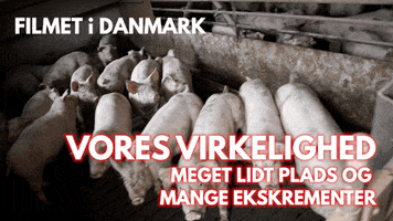 Bacon Go GIF by Veganerpartiet - Vegan Party of Denmark