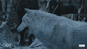 Prepare Season 7 GIF by Game of Thrones