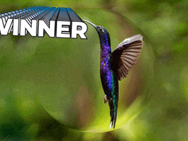 Germany Wow GIF by FranchiseONE.de