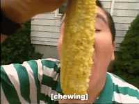 season 3 GIF