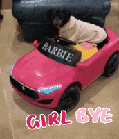 Barbieweenie no way nah barbie see ya GIF