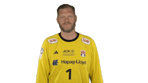 Handball-Bundesliga Handball Sticker by LIQUI MOLY HBL