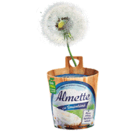 AlmetteRO instagram nature foodie natural Sticker