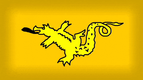 Turkey GIF