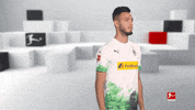 Posing Line Up GIF by Bundesliga