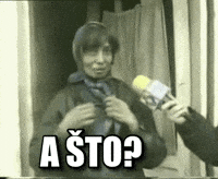 Sto Cigani GIF
