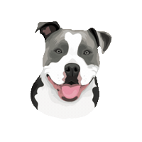 Chanelpp Sticker by Pickle's Pawtraits