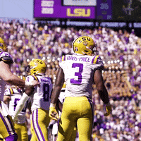 Death Valley Dancing GIF by LSU Tigers