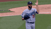 Los Angeles Applause GIF by MLB