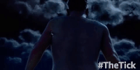 season 1 GIF by The Tick