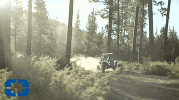 Polaris_RZR atv polaris off road utv GIF