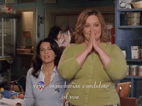 pop culture netflix GIF by Gilmore Girls 