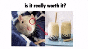 Hamster Mouse GIF