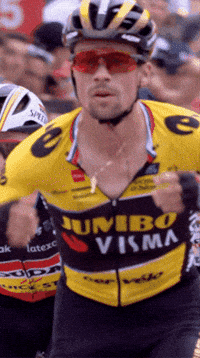 Celebration Roglic GIF by La Vuelta