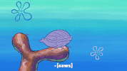 season 10 episode 3 GIF by SpongeBob SquarePants