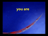 Comic Book Thank You GIF by Fleischer Studios