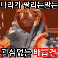 Jamchilla GIF