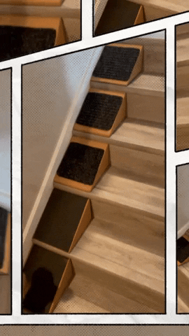 stairwedge giphyupload GIF