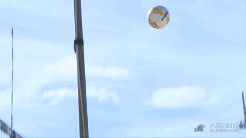 beach volleyball GIF by GreenWave