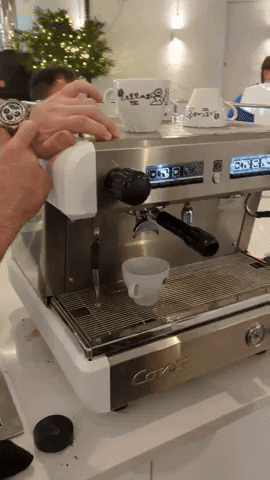 GIF by Stella 52
