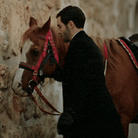 Horse Startv GIF by Burak Berkay