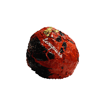 Ball Shannon Sticker by LiveYours