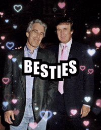 Donald Trump Besties GIF by Respective
