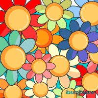 Celebrations Kerala GIF by IBS Software