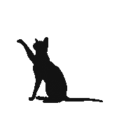 monterrey gatos Sticker by EDWIN LUNA