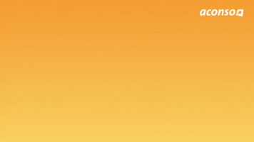 Spring Break Party GIF by aconso AG