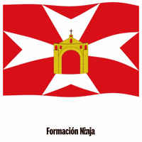 Flag Spain GIF by Formación Ninja