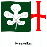 Flag Spain GIF by Formación Ninja