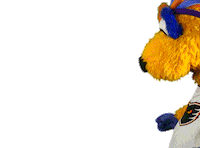 Ice Hockey Hello Sticker by Lehigh Valley Phantoms