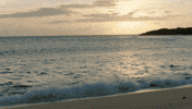 run help GIF by Wrecked