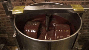 food porn chocolate GIF by Science Friday