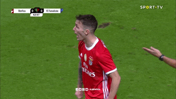 Sl Benfica No GIF by Sport Lisboa e Benfica