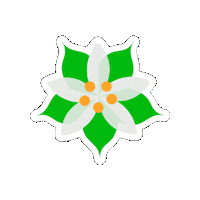 Flower Sampaguita Sticker by Tourism Philippines