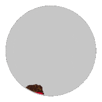 Kansas City Chiefs Football Sticker by SportsManias