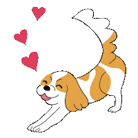 Cavaliers 犬 Sticker