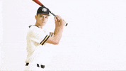 Ncaa Baseball Celebration GIF by Purdue Fort Wayne Athletics