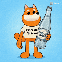Sparkling Water Bottle Celebrates GIF by BONK