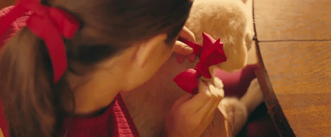 golden retriever GIF by Marshmello