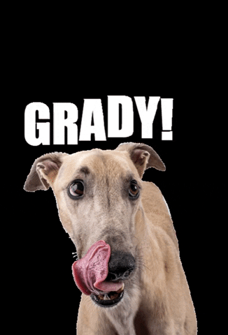 Grady GIF by University of Indianapolis